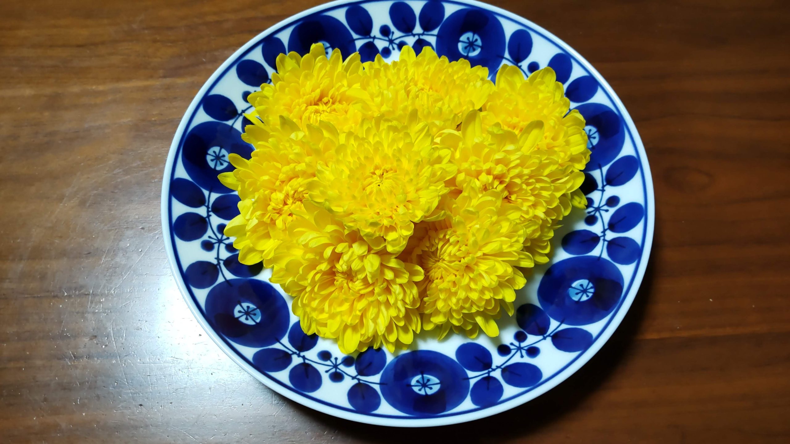 chrysanthemum